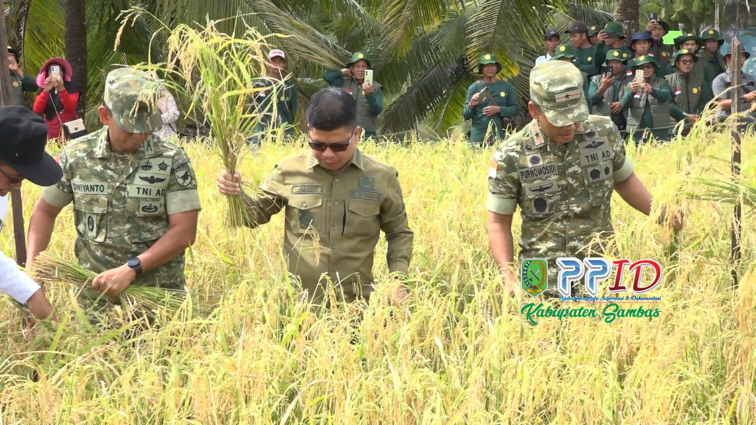 IP Meningkat, Bupati Satono Tegaskan Sambas Pilar Utama Swasembada Pangan Kalbar