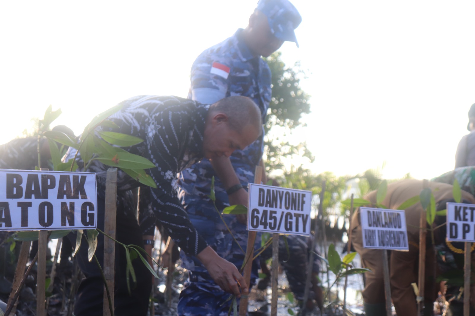 Rehabilitasi Hutan Mangrove Lestarikan Lingkungan